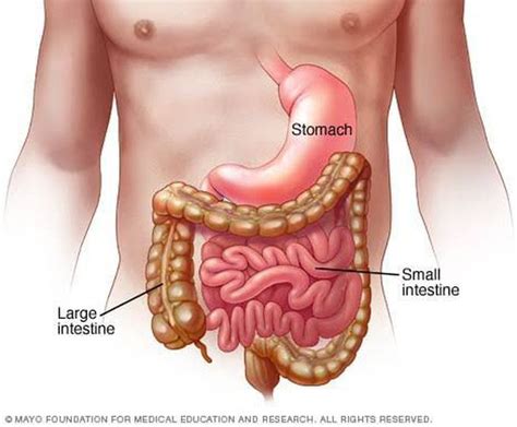 Complications of gastroenteritis - MEDizzy