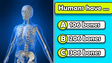 General Knowledge Quiz #2. Human Body Quiz. - YouTube