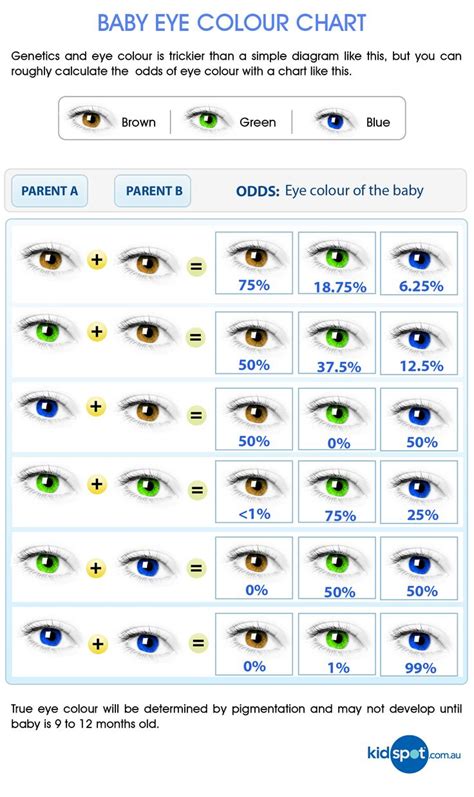 human eye color chart go back gallery for natural eye colors - the eye ...