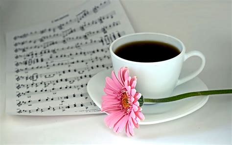 Coffee Time, cute, nice, coffee, cup, flower, flowers, nature, musical notes, HD wallpaper | Peakpx