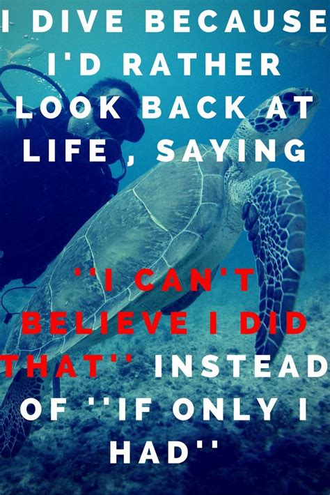 Regrets free since... Always! | Scuba diving quotes, Diving, Diving quotes