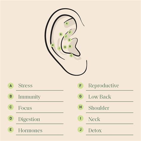 Ear Seeding: Benefits, Side Effects, and Ear Seed Chart