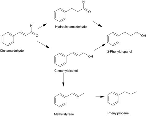 Scheme of cinnamaldehyde hydrogenation reaction. | Download Scientific Diagram