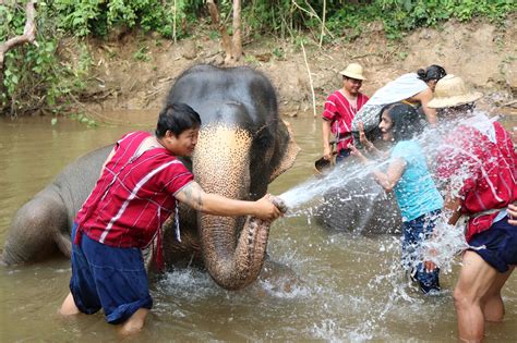 CHIANG MAI ELEPHANT JUNGLE SANCTUARY - CHIANG MAI TOURS