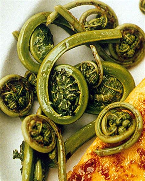 Sauteed Fiddlehead Ferns | Recipe (With images) | Foraged food, Food ...