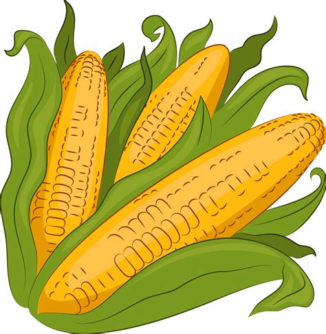 Corn stalk clipart. Free download transparent .PNG Clipart Library - Clip Art Library