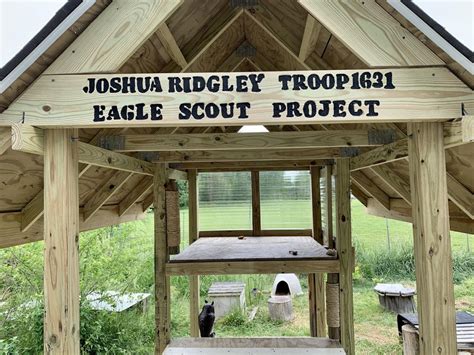 Scout builds feral cat shelter for Eagle project | Emergency Notice | stardem.com