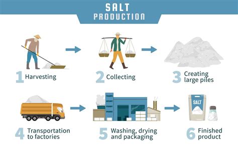 Salt Production Infographics 19774166 Vector Art at Vecteezy