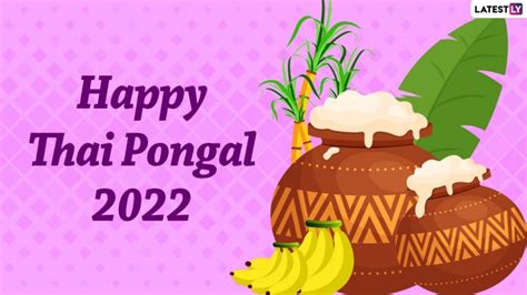 Thai Pongal 2022 Wishes: Iniya Pongal Valthukkal Images, WhatsApp ...