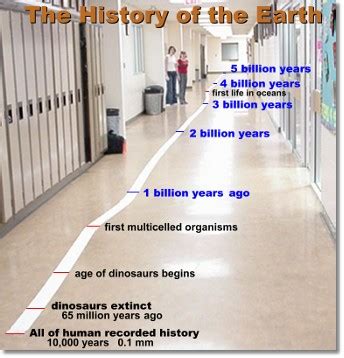 The Toilet Paper Timeline » BagOfNothing.com