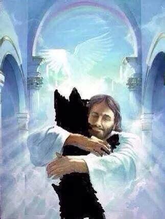 Jesus welcoming a dog in Heaven... | Jesus pictures, Jesus, Jesus loves