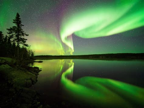 🔥 Aurora Borealis Yukon Territory, Canada 🔥 : r/NatureIsFuckingLit