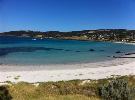 Beach at Kangaroo Island Kangaroo Island, Beautiful Places, Beach ...