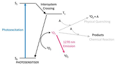 Detection of Singlet Oxygen | Edinburgh Instruments