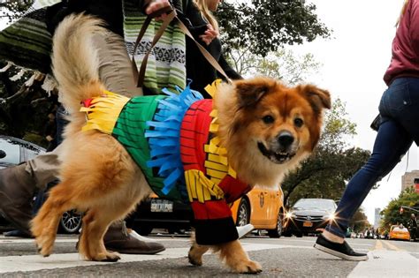 It's Howl-o-ween! Dogs of New York flaunt costumes in 26th annual ...