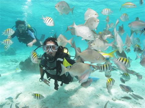 Scuba Diving - Varadero, Cuba