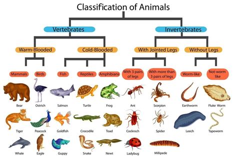 Kristin Moon Science on Instagram: “My biology students are learning about how living things ...