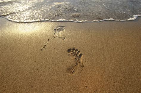 Footprints in the sand 2 Free Photo Download | FreeImages