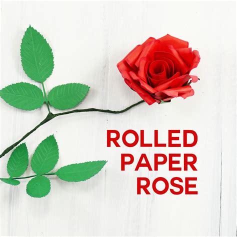 Rolled Paper Rose Tutorial - Fun & Realistic! - Jennifer Maker