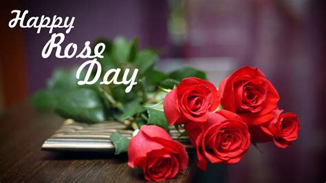 Rose Day Wallpapers and Beautiful Images 2023