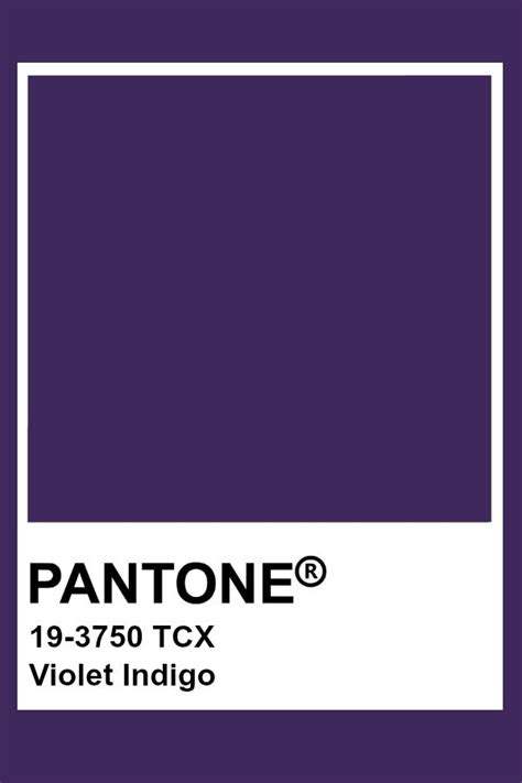 Pantone Violet Indigo | Pantone color, Pantone color chart, Pantone ...