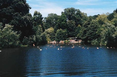 Hampstead Heath Swimming Ponds, Camden | Swimming Pools | Playfinder