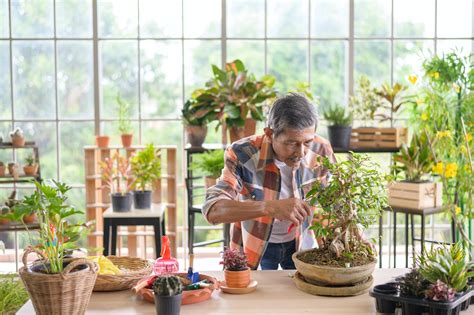 Demystifying Bonsai Pruning Techniques