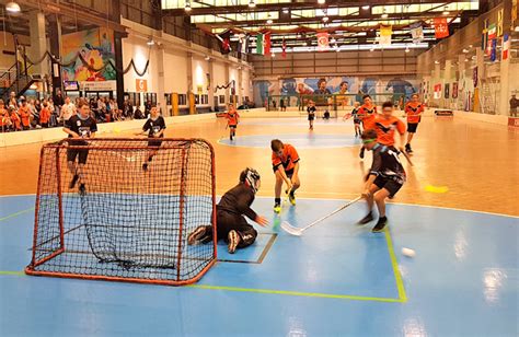 About Floor Hockey