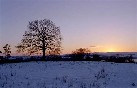 Winter sunset over snow-covered meadow © Lairich Rig :: Geograph Britain and Ireland