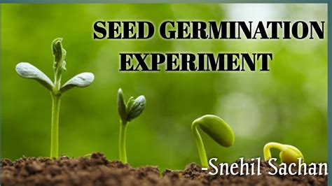 Seed Germination Experiment | Class IV | NCERT EVS | CAHPTER 19: ABDUL IN THE GARDEN - YouTube