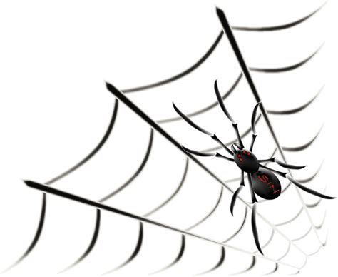 Free Spider Graphics, Download Free Spider Graphics png images, Free ...