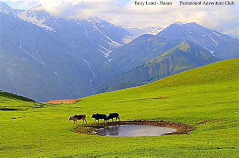 Fairy land view , Naran valley Pakistan, In background way to Sapat Valley.