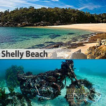 Shelly Beach Shore Dive Package | Expedition Dive