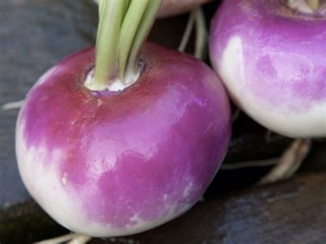 Turnip Seeds - Grow Your Own 'Purple Top Milan' Turnips