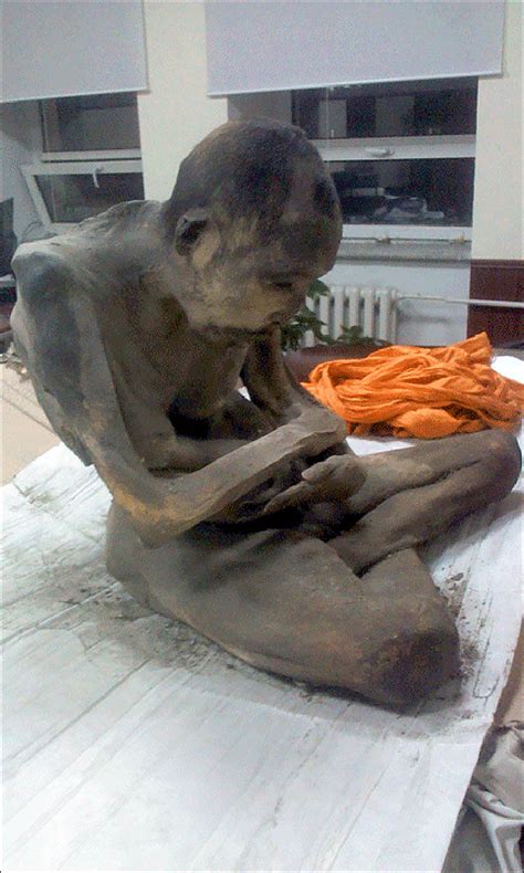 Sһoсkіпɡ! The mᴜmmу of a Mongolian monk who lived 200 years ago is ...