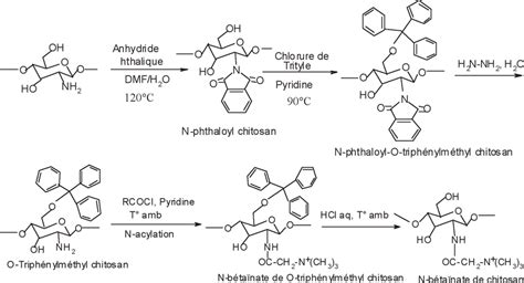 Synthèse de N-bétaïnate de chitosan — Synthesis of chitosan N-betainate... | Download Scientific ...