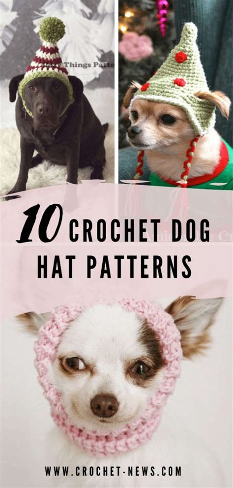 10 Crochet Dog Hat Patterns - Crochet News