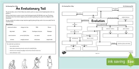 An Evolutionary Tail Worksheet / Worksheet (teacher made)