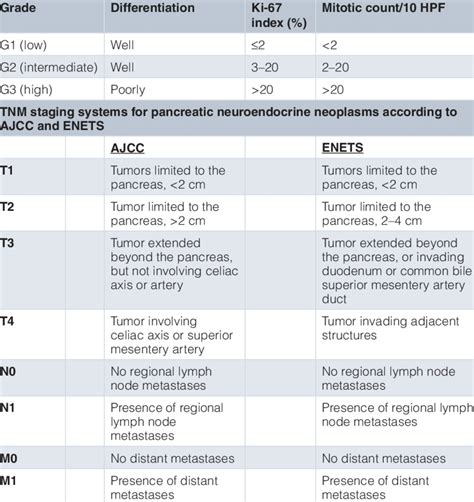 Pancreatic neuroendocrine tumors: WHO classification and TNM staging ...