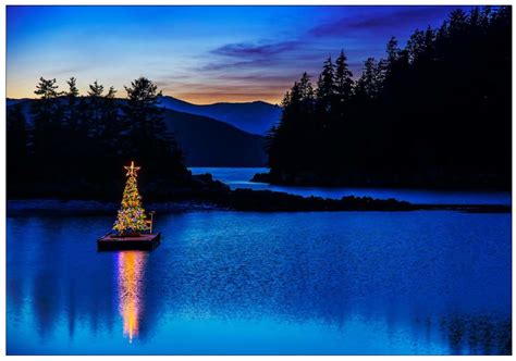 Alaska Holiday - Note Card 976 | Mark Kelley