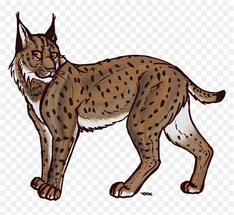 Cute Bobcat Clipart | Free Images at Clker.com - vector clip art - Clip Art Library