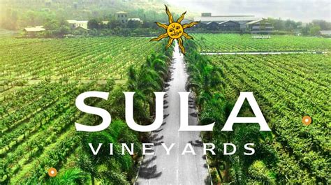 Sula Vineyards IPO allotment status online check: Date, registrar KFin Technologies direct link ...