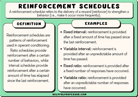 15 Reinforcement Schedule Examples (Of all Types) (2024)