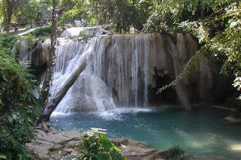 Agua Azul waterfalls and calcified tree | Waterfall, Water, San cristobal