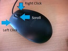 Mouse scroll wheel not working