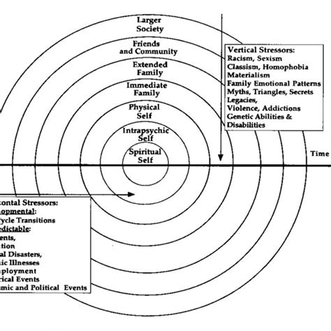 2. The family life-cycle model (Carter & McGoldrick, 2003). | Download Scientific Diagram