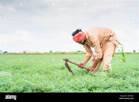 People Working Hard Farming