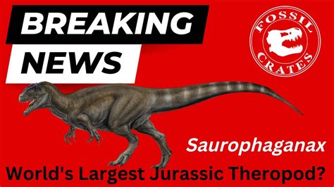 Saurophaganax - Largest Jurassic Theropod Dinosaur? - YouTube