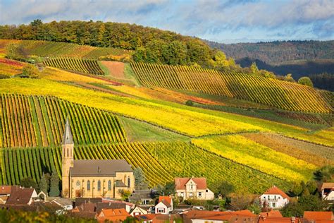 Pfalz Wine Region, Germany | Winetourism