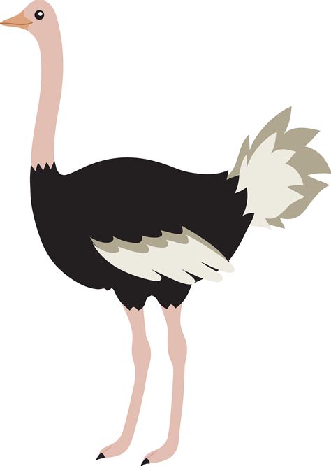 Cartoon Ostrich Png - ClipArt Best